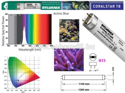 SYLVANIA CORALSTAR F36W T8 G13 fénycső akváriumhoz 